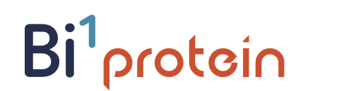 Bi1 protein