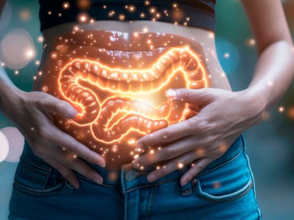 Disbosis y Permeabilidad Intestinal
